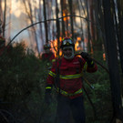AFP_E17Y6.jpg