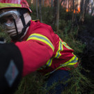 AFP_E18M6.jpg