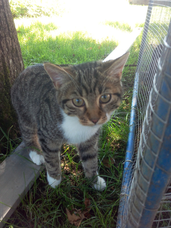 Martina aug 2016 394.jpg