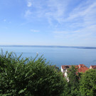 IMG_5865.JPG