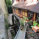 IMG_5869.JPG