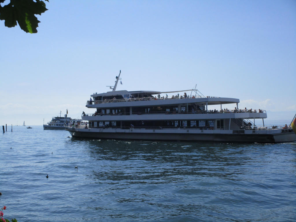 IMG_5882.JPG
