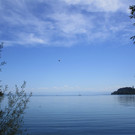 IMG_5923.JPG