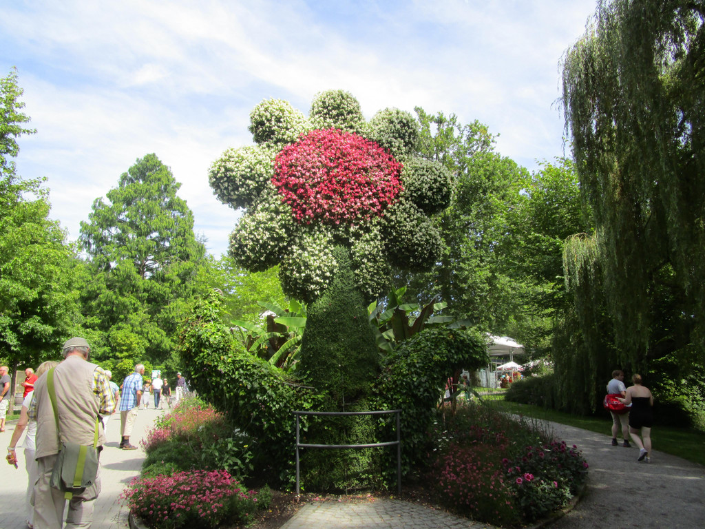IMG_5924.JPG
