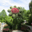 IMG_5924.JPG