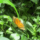 IMG_5943.JPG