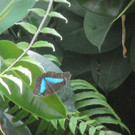 IMG_5946.JPG