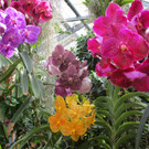 IMG_5958.JPG