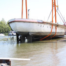 IMG_9783.JPG
