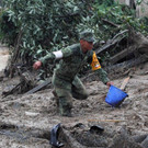 AFP_E325P.jpg