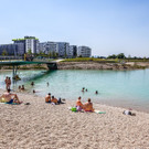 Seestadt Aspern: Pflanzen und Tiere