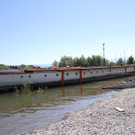 IMG_9764.JPG