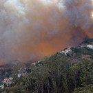 Portugal_Wildfires_3.jpg