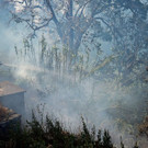 AFP_E84TU.jpg