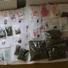 1008PK1.jpg