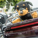 Tag 1 Harley Davidson Charity Tour 2016-19.JPG