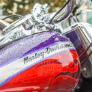 Tag 1 Harley Davidson Charity Tour 2016-20.JPG