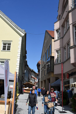 c_Scopoli_Bludenz_Altstadt_2785.jpg