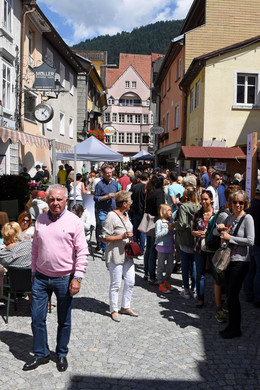 c_Scopoli_Bludenz_Altstadt_3013.jpg