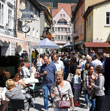 c_Scopoli_Bludenz_Altstadt_3015.jpg