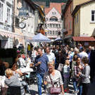 c_Scopoli_Bludenz_Altstadt_3015.jpg