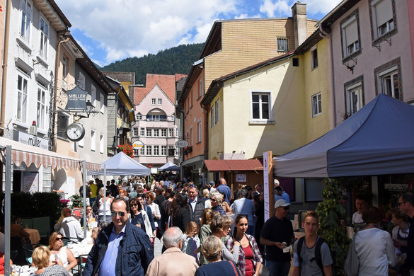 c_Scopoli_Bludenz_Altstadt_3020.jpg