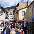 c_Scopoli_Bludenz_Altstadt_3020.jpg