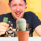 13641001_722400164529455_6727611717217078376_o.jpg
