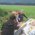 2016-08-12 10_11_18.jpg