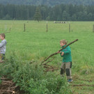 2016-08-12 10_20_20.jpg