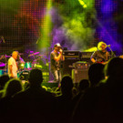 Hafen Open Air 2016 - Alkbottle - 12_08_2016-26.JPG