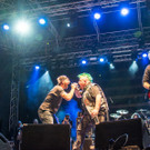 Hafen Open Air 2016 - Alkbottle - 12_08_2016-41.JPG