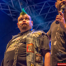 Hafen Open Air 2016 - Alkbottle - 12_08_2016-50.JPG