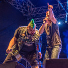 Hafen Open Air 2016 - Alkbottle - 12_08_2016-54.JPG