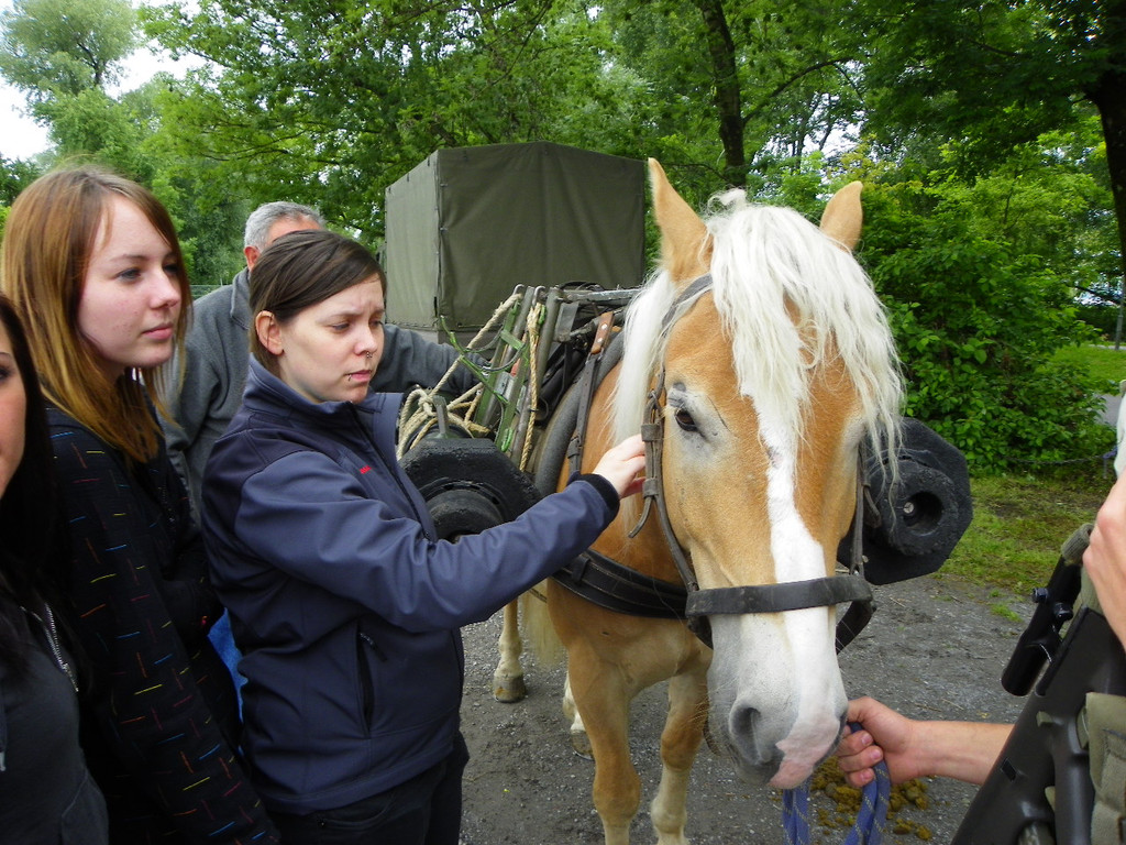 Bild 246_jpg-1277382085