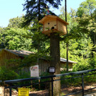 KOE_Tierpatenschaften Wildpark 1.jpg