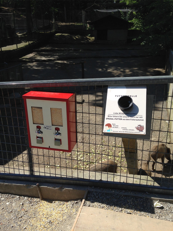 KOE_Tierpatenschaften Wildpark 2.jpg