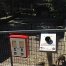 KOE_Tierpatenschaften Wildpark 2.jpg