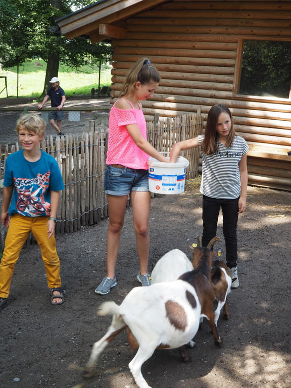 KOE_Tierpatenschaften Wildpark 8.jpg