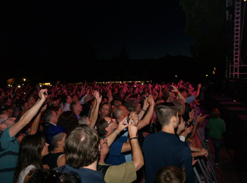 P1016884.jpg