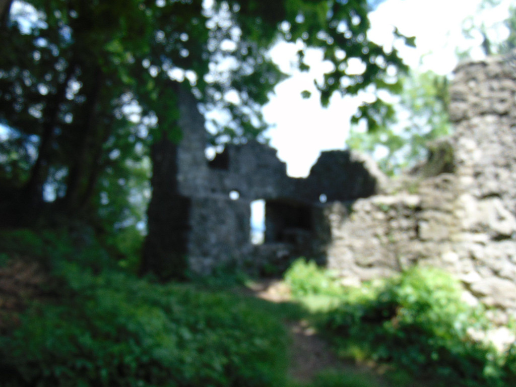 DSC02503.JPG