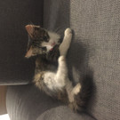 image _3_.jpeg