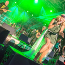 Niddl and Band-36.JPG