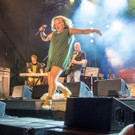Niddl and Band-55.JPG
