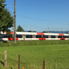 Roethis4.jpg