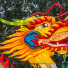 China Magic - 17_08_2016-24.JPG