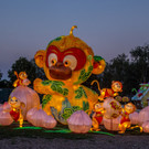 China Magic - 17_08_2016-25.JPG