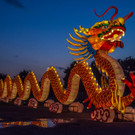 China Magic - 17_08_2016-35.JPG