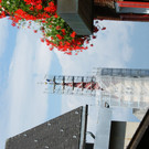 DSC00719.JPG