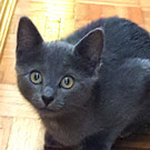 20160725_191253.jpg